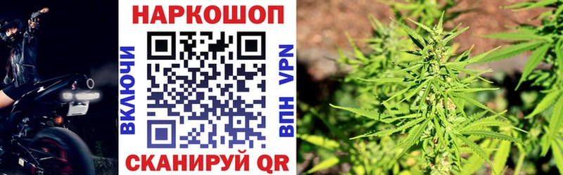Где найти наркотики Стародуб ГАШИШ Бошки Шишки A-PVP Мефедрон COCAIN