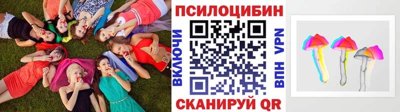 Псилоцибиновые грибы Psilocybe  где купить наркоту  Стародуб 